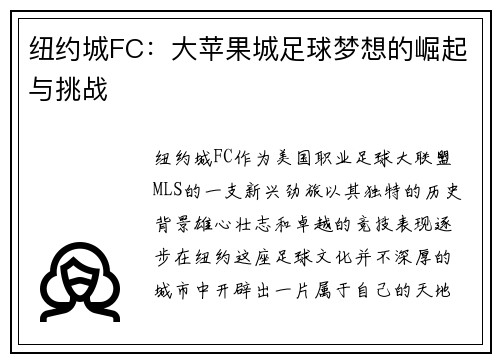 纽约城FC：大苹果城足球梦想的崛起与挑战